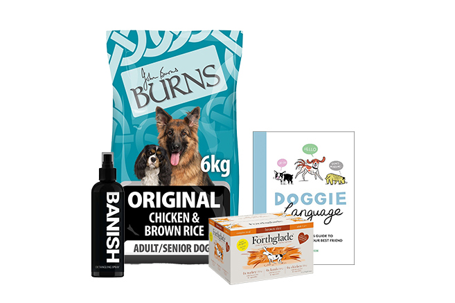 Loki's Canine Cuts: Shop