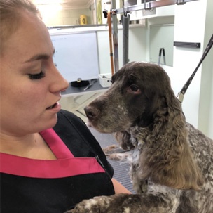 Loki's Canine Cuts: Gallery