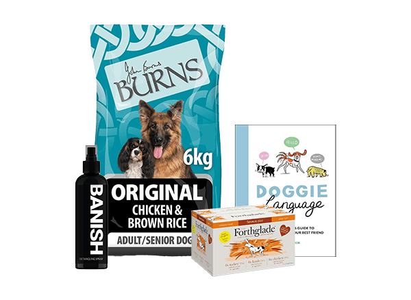 Loki's Canine Cuts: Shop & Dog Products