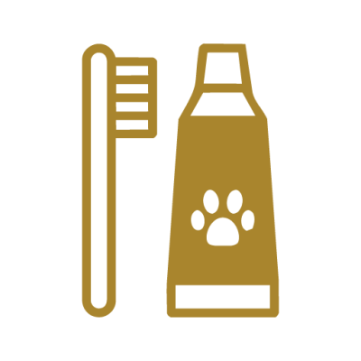 Ultrasonic Teeth Cleaning